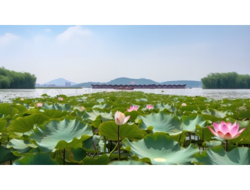 苹果手机安全吗（苹果手机安全吗会泄露信息吗）
