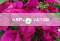 自媒体运营实习工作总结