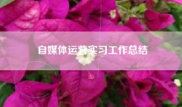 自媒体运营实习工作总结