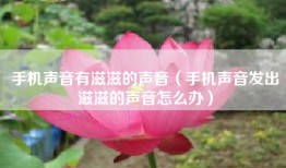 手机声音有滋滋的声音（手机声音发出滋滋的声音怎么办）