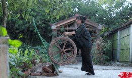 央视都赞她火遍全球，李子柒凭什么？