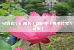 别碰我手机图片（别碰我手机图片大全可爱）