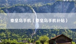 秦皇岛手机（秦皇岛手机补贴）