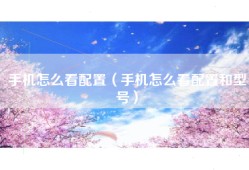 手机怎么看配置（手机怎么看配置和型号）