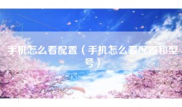 手机怎么看配置（手机怎么看配置和型号）