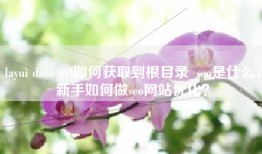 layui data-url如何获取到根目录_seo是什么，新手如何做seo网站优化？