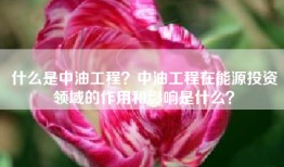 什么是中油工程？中油工程在能源投资领域的作用和影响是什么？