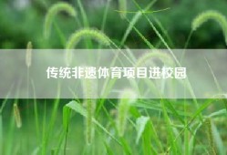 传统非遗体育项目进校园