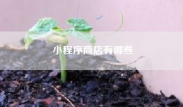 小程序商店有哪些