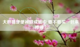 大熊猫便便被做成纸巾 要不要买一包来擦擦？