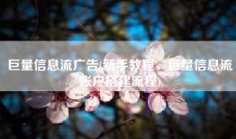 巨量信息流广告(新手教程，巨量信息流账户搭建流程)