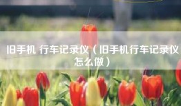 旧手机 行车记录仪（旧手机行车记录仪怎么做）