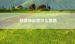 自媒体运营什么意思