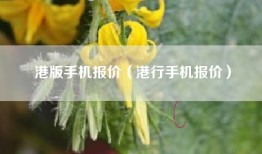 港版手机报价（港行手机报价）