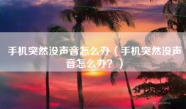 手机突然没声音怎么办（手机突然没声音怎么办？）
