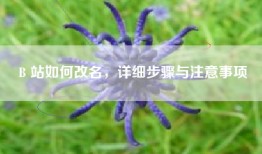 B 站如何改名，详细步骤与注意事项