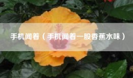 手机闻着（手机闻着一股香蕉水味）