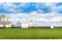 手机掉水怎么办（手机掉水怎么办小米）