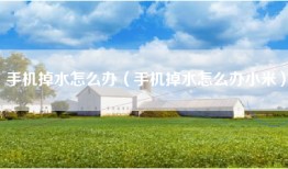 手机掉水怎么办(手机掉水怎么办小米)
