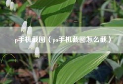 p手机截图（po手机截图怎么截）
