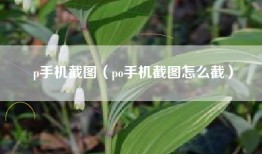 p手机截图（po手机截图怎么截）