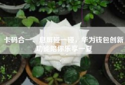卡码合一、息屏碰一碰，华为钱包创新功能陪你乐享一夏
