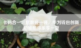 卡码合一、息屏碰一碰，华为钱包创新功能陪你乐享一夏
