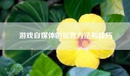 游戏自媒体的运营方法和技巧