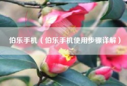 伯乐手机（伯乐手机使用步骤详解）