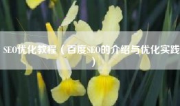 SEO优化教程（百度SEO的介绍与优化实践）