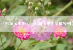 手机淘宝页面（手机淘宝页面变成竖列）
