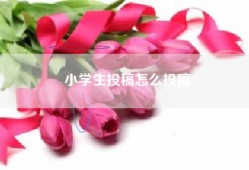 小学生投稿怎么投稿