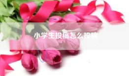 小学生投稿怎么投稿