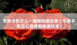 苹果手机怎么一键删除通讯录（苹果手机怎么快速删除通讯录）