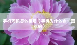 手机死机怎么重启（手机为什么会一直重启）