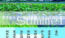 李子柒火了，她到底是个什么样的姑娘？