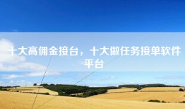 十大高佣金接台，十大做任务接单软件平台