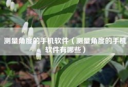 测量角度的手机软件（测量角度的手机软件有哪些）