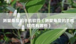 测量角度的手机软件（测量角度的手机软件有哪些）