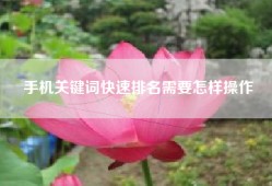 手机关键词快速排名需要怎样操作