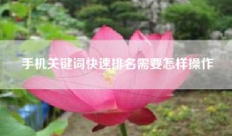 手机关键词快速排名需要怎样操作