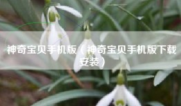 神奇宝贝手机版（神奇宝贝手机版下载安装）