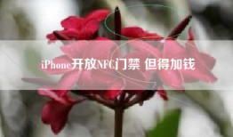 iPhone开放NFC门禁 但得加钱