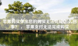苹果购买弹出您的购买无法完成,怎么回事？ ， 苹果支付无法完成购买