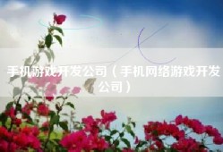 手机游戏开发公司（手机网络游戏开发公司）