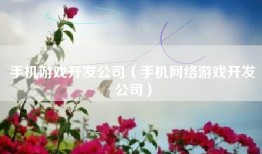 手机游戏开发公司（手机网络游戏开发公司）