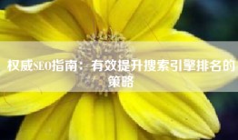 权威SEO指南：有效提升搜索引擎排名的策略