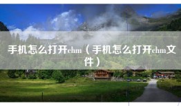 手机怎么打开chm（手机怎么打开chm文件）