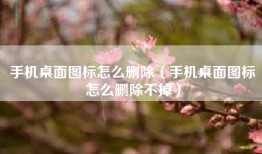 手机桌面图标怎么删除（手机桌面图标怎么删除不掉）