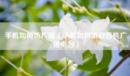 手机如何听广播（手机如何听收音机广播电台）